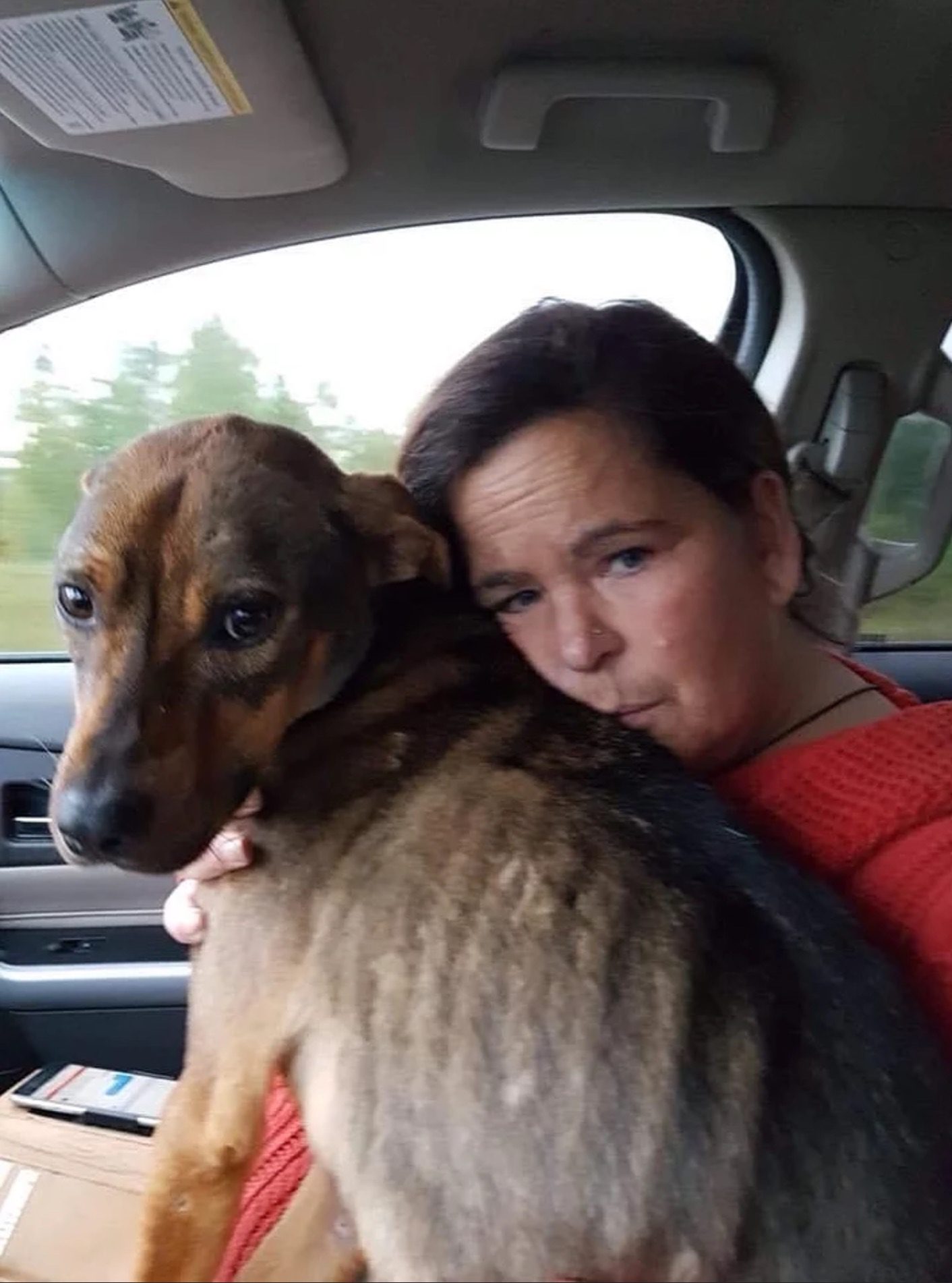 About Us Hope Lives Here Animal Rescue