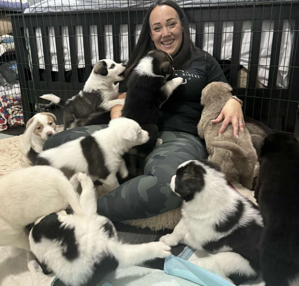 Hope Lives Here Animal Rescue Society Edmonton