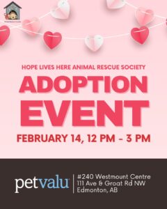ADOPTION EVENT