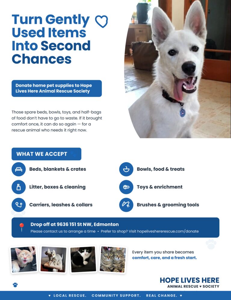 HLH Donate From Home Flyer
