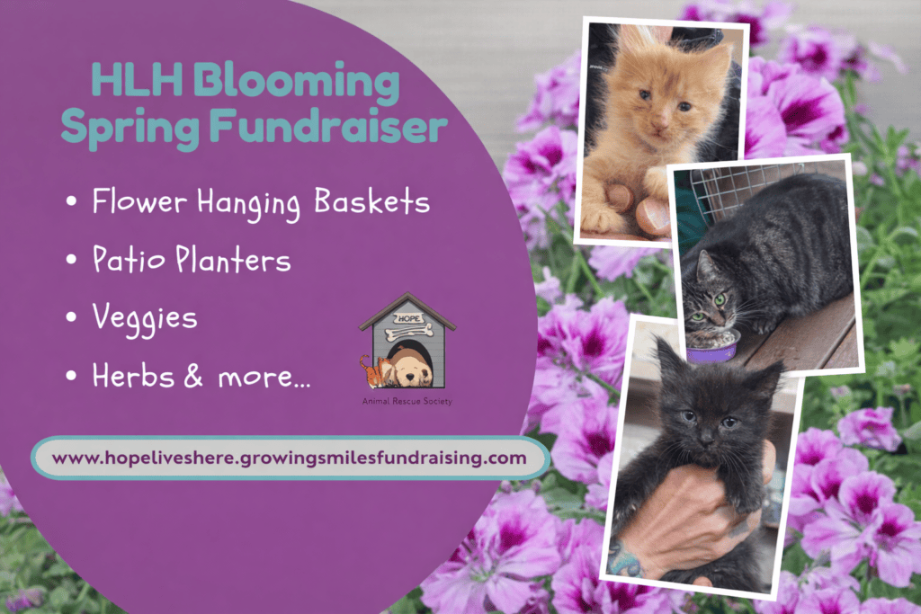 Blooming spring fundraiser