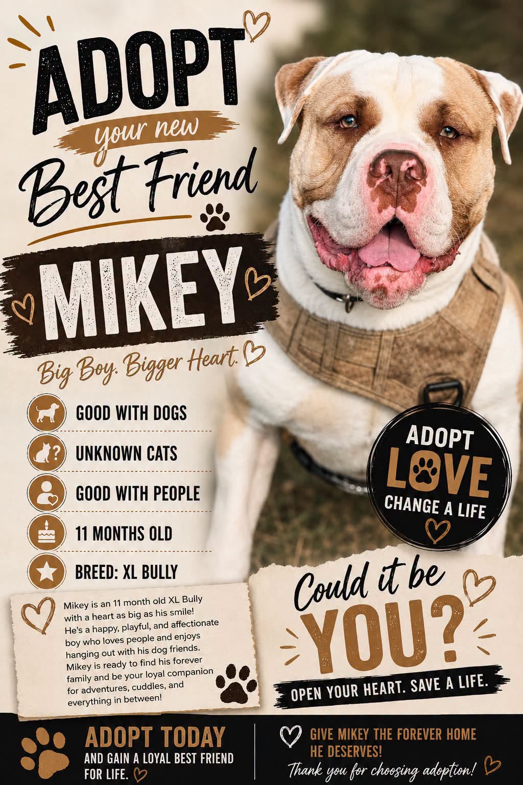 Adoptable Dogs adoptable dogs